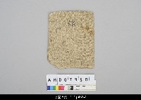 藏品(猿倉人形芝居偶-戲偶頭袋子)的圖片